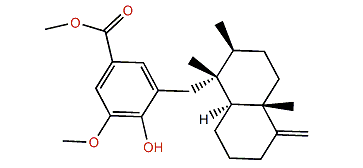 Polyfibrospongol A